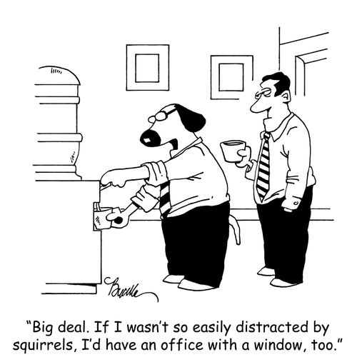 "Big deal. If I wasn't so easily distracted by squirrels, I'd have an office with a window, too."
