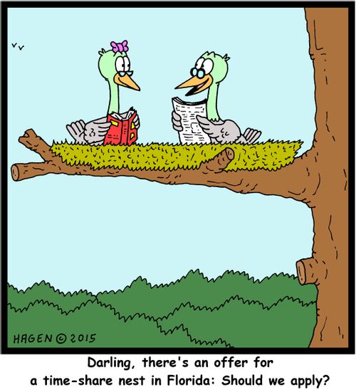 "Darling, there's an offer for a time-share nest in Florida: Should we apply?"