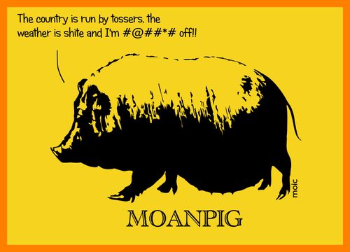 Moan Pig.