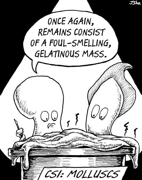 "Once again, remains consist of a foul-smelling, gelatinous mass."
