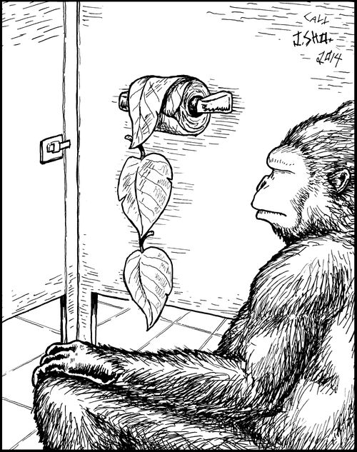 Gorilla in bathroom stall with leaves as toilet roll.