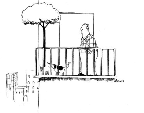 Dog on balconey in city sniffing tree in pot