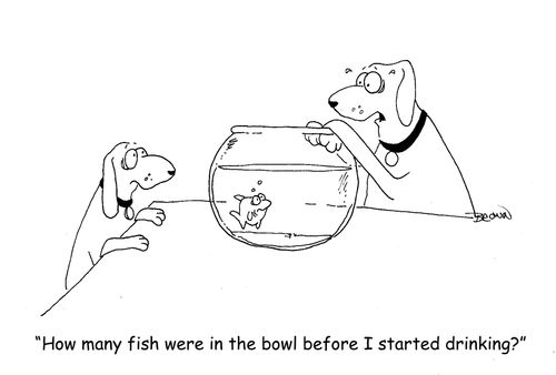 Dog drinking out of fish bowl, "How many fish were in the bowl before I started drinking?"
