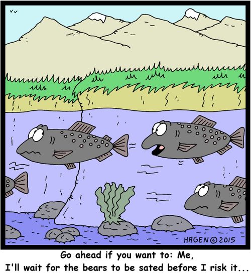 "Go ahead if you want to: Me, I'll wait for the bears to be sated before I risk it..."