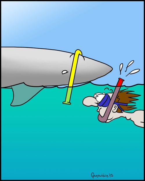 Shark's Scuba Mask.