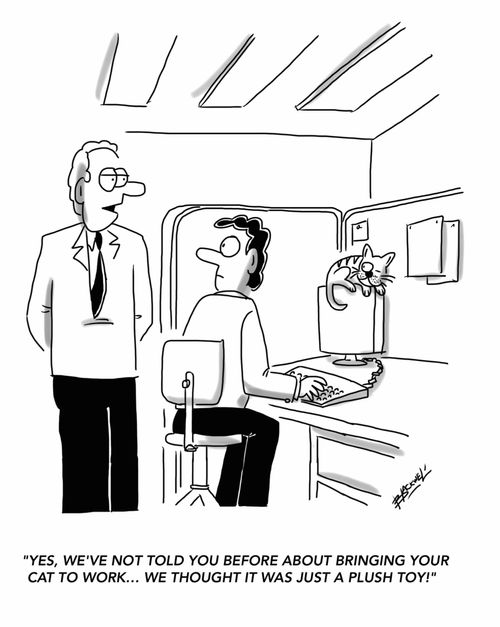 "Yes, we've not told you before about bringing your cat to work... we thought it was just a plush toy!"