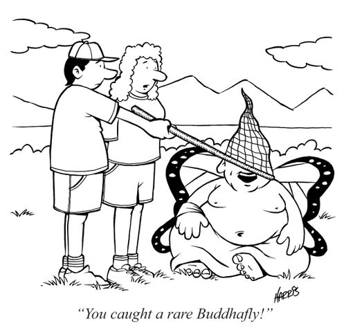 "You caught a rare Buddhafly!"