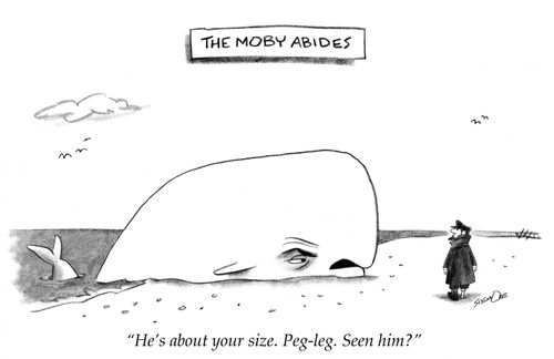 "He's about your size. Peg-leg. Seen him?"