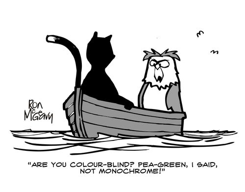 "Are you colour-blind? Pea-green, I said, not monochrome!"