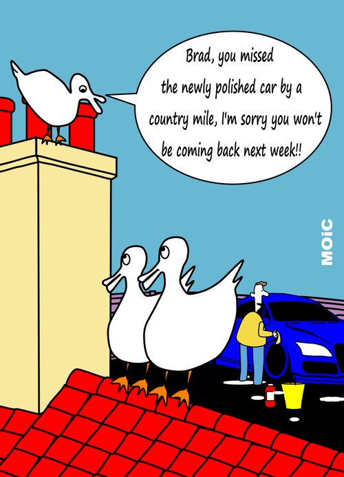 "Brad, you missed the newly polished car by a country mile, I'm sorry you won't be coming back next week!!"