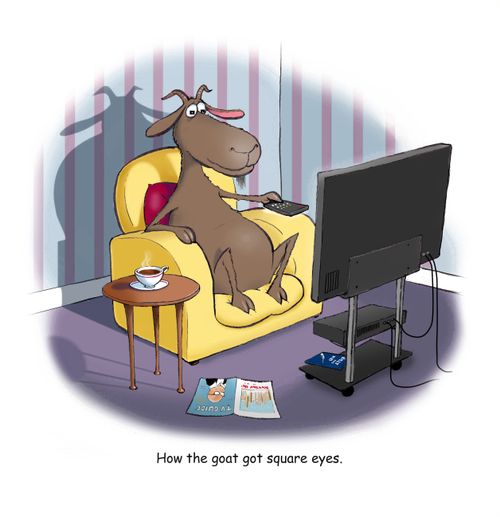 How the goat got square eyes.