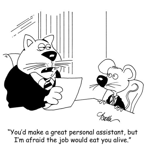 "You'd make a great personal assistant, but I'm afraid the job would eat you alive."