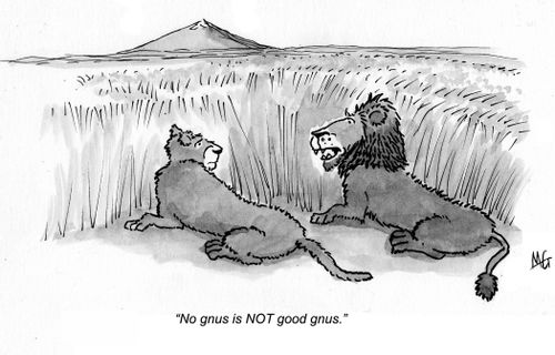 "No gnus is NOT good gnus."
