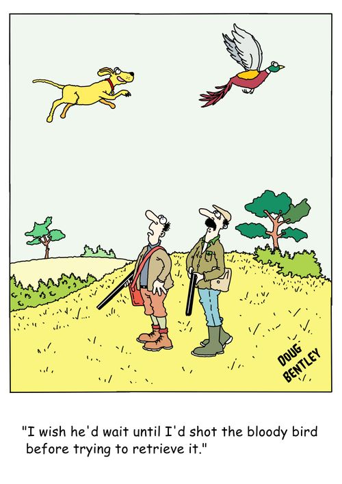 "I wish he'd wait until I'd shot the bloody bird before trying to retrieve it."