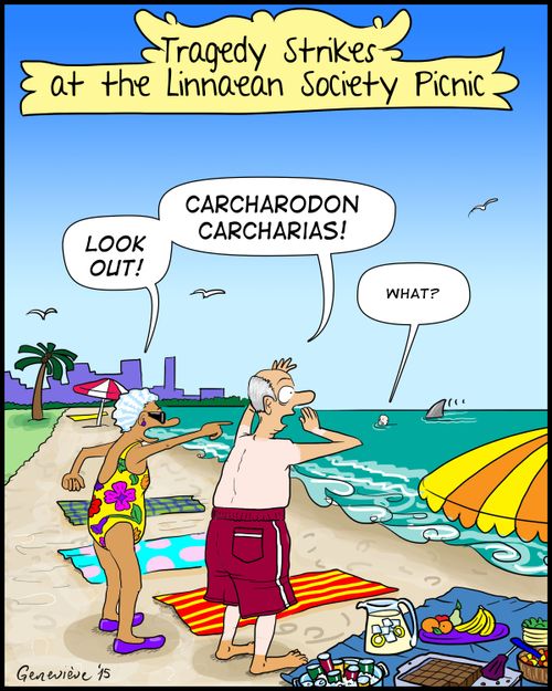 Tragedy Strikes at the Linnaean Society Picnic