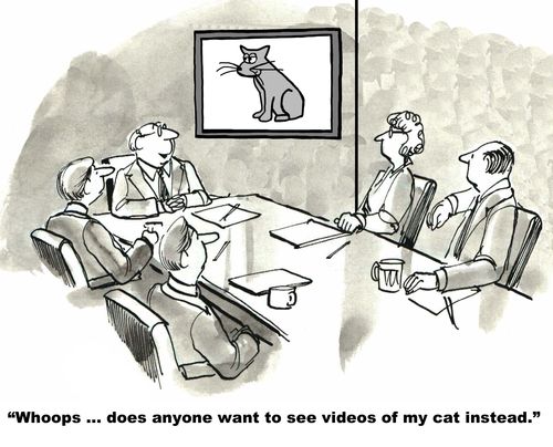 "Whoops... does anyone want to see videos of my cat instead."
