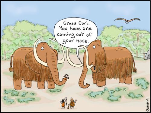 "Gross Carl. You have one coming out of your nose."