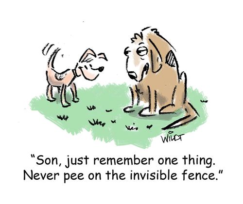 "Son, just remember one thing. Never pee on the invisible fence."