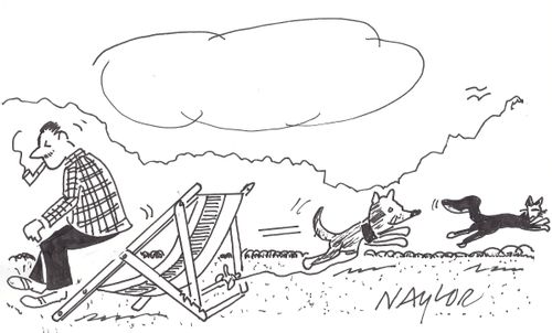 Dog chasing cat and causes a deckchair accident.