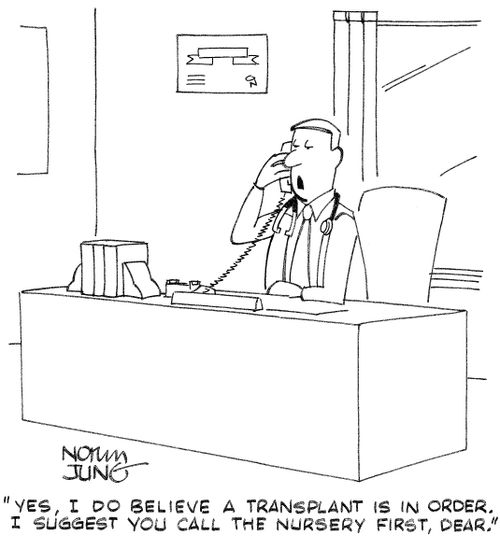 "Yes, I do believe a transplant is in order. I suggest you call the nursery first, dear."