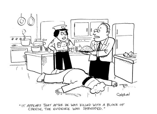 "It appears that after he was killed with a block of cheese, the evidence was shredded."