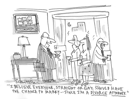 "I believe everyone, straight or gay, should have the chance to marry - since I'm a divorce attorney."