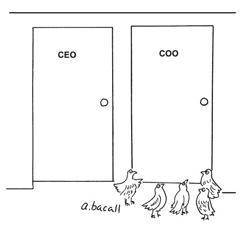 Pigeons collect at door of COO 
