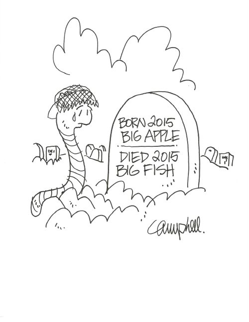 Born 2015 - Big Apple....Died 2015 - Big Fish.