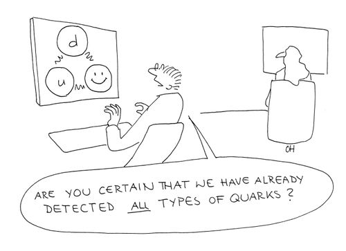 "Are you certain that we have already detected all types of quarks?"