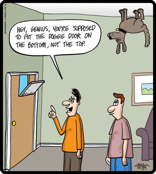 "Hey, genius, you're supposed to put the doggie door on the bottom, not the top."