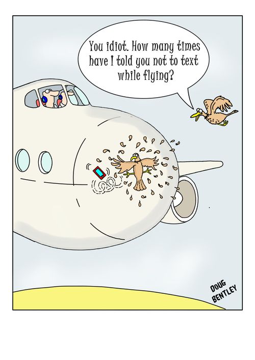"You idiot. How many times have I told you not to text while flying?"