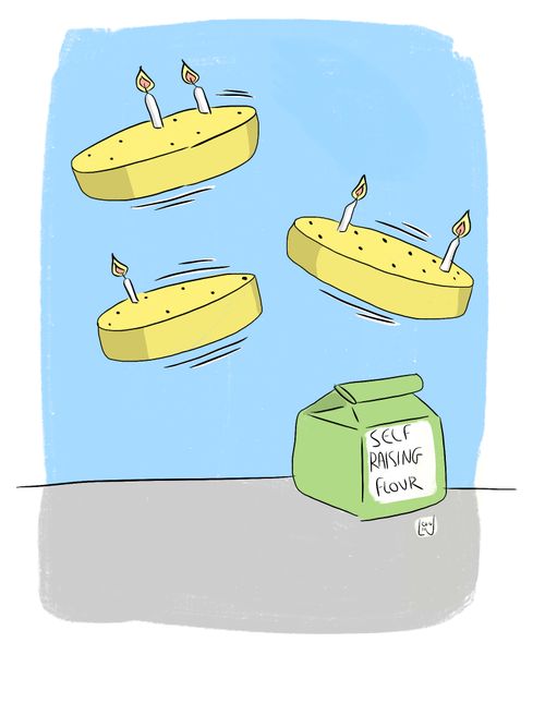 Self raising flour