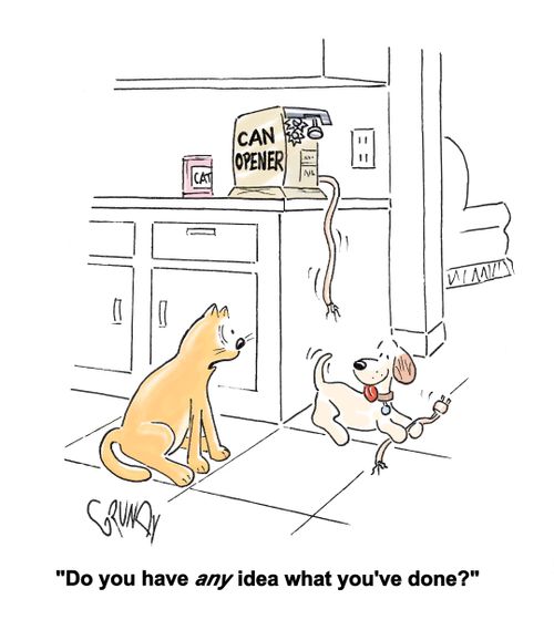 "Do you have any idea what you've done?"