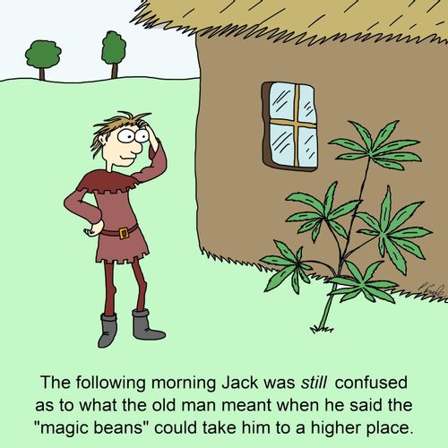 The following morning Jack was still confused as to what the old man meant when he said the "magic beans" could take him to a higher place.