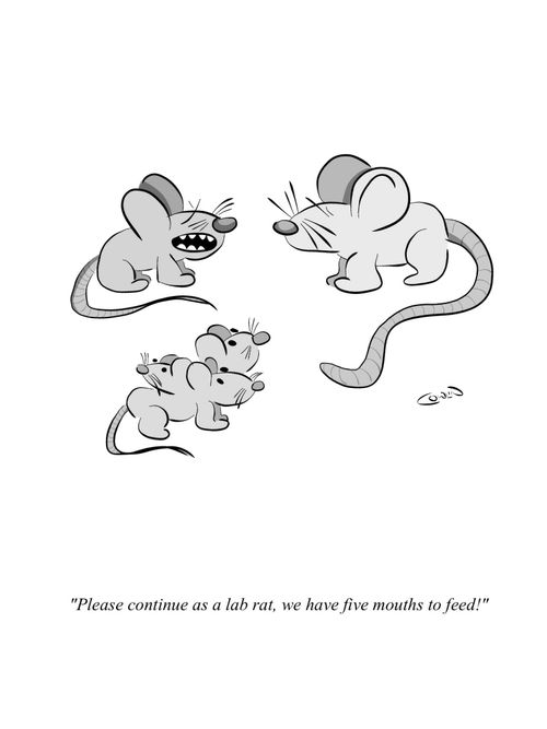 "Please continue as a lab rat, we have five mouths to feed!"