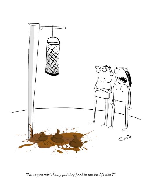 "Have you mistakenly put dog food in the bird feeder?"