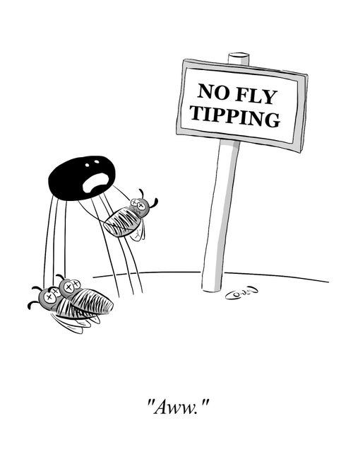 No Fly Tipping - "Aww."