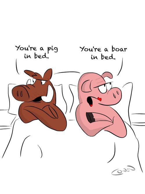 "You're a pig in bed."