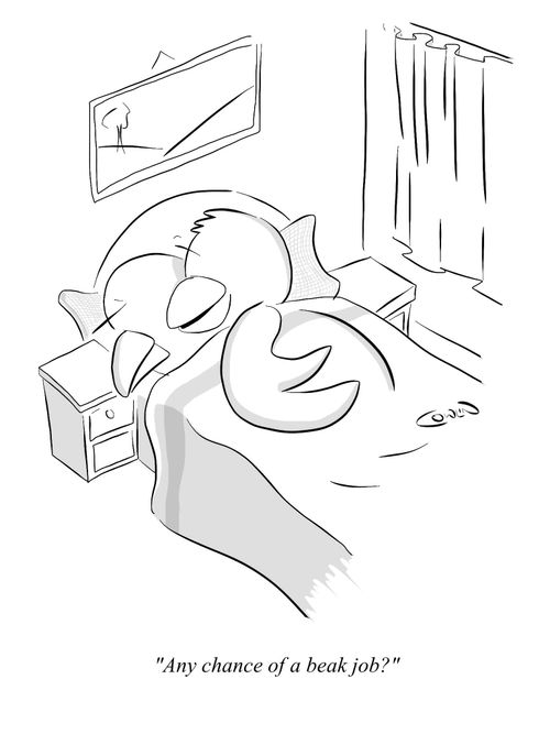 "Any chance of a beak job?"
