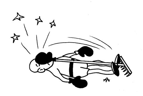 Boxer beaten by a rake.