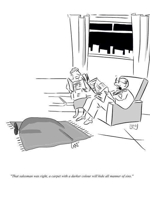 "The salesman was right, a carpet with a darker colour will hide all manner of sins."