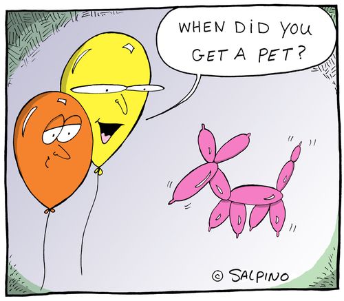 "When did you get a pet?"