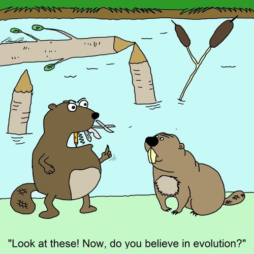 "Look at these! Now, do you believe in evolution?"