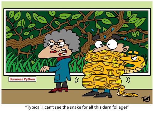 "Typical, I can't see the snake for all this darn foliage!"