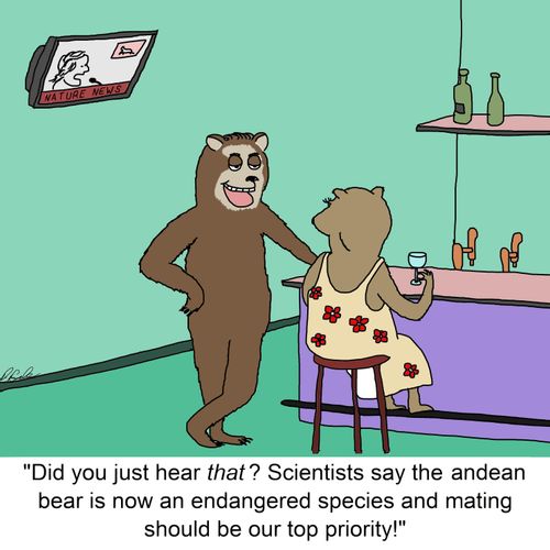 "Did you just hear that? Scientists say the andean bear is now an endangered species and mating should be our top priority!"