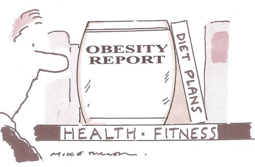 Obesity Report