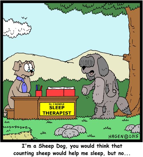 "I'm a Sheep Dog, you would think that counting sheep would help me sleep, but no..."