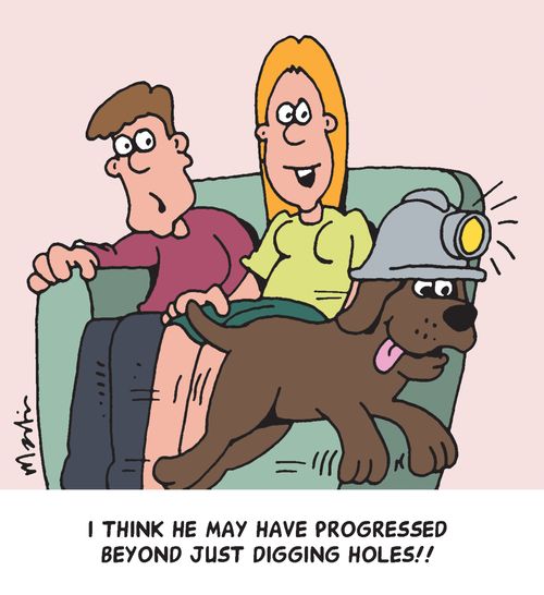 "I think he may have progressed beyond just digging holes!!"