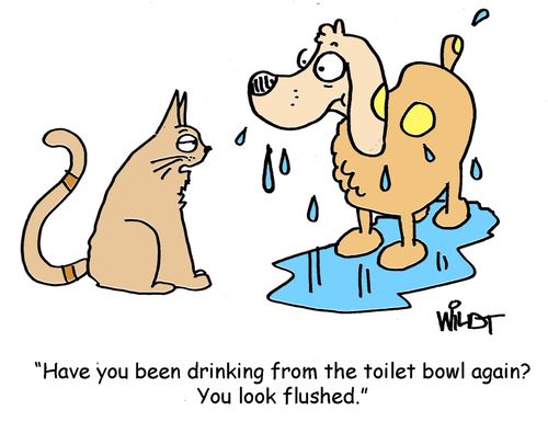 "Have you been drinking from the toilet bowl again? You look flushed."