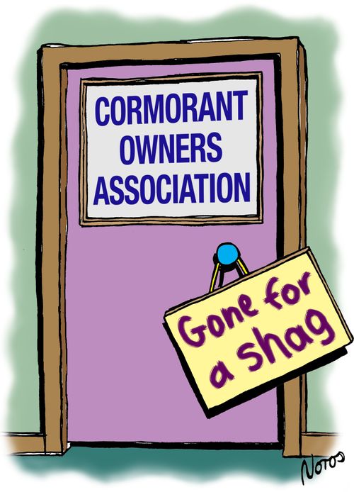 Cormorant Owners Association: Gone for a Shag.